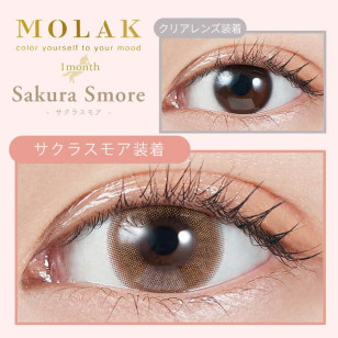 MOLAK Monthly Sakura Smore モラク マンスリー サクラスモア